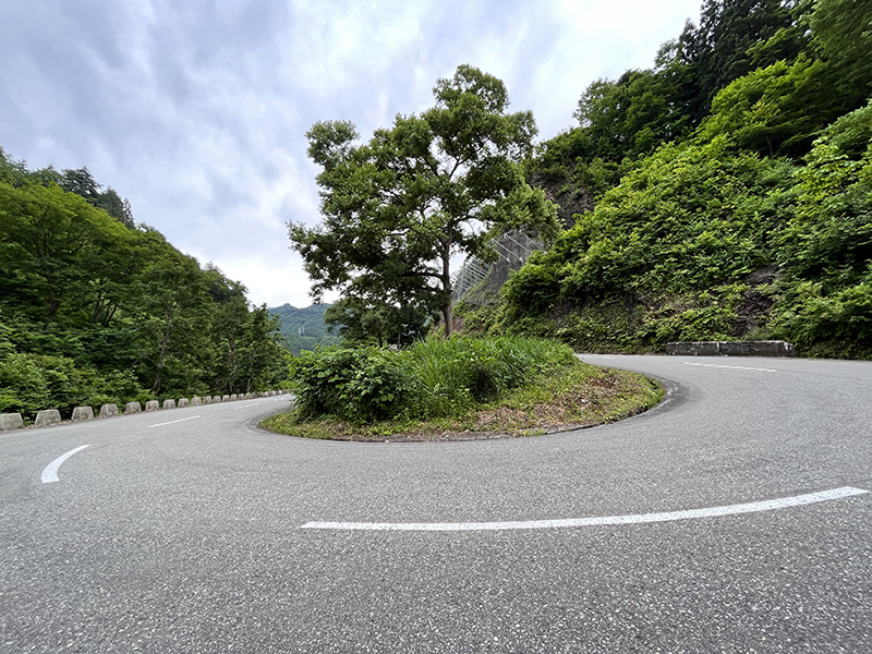 取りに来て頂けませんか！新潟県六日町　八箇峠産　馬糞石　重いです！ いかがですか 取りに来て頂けませんか！新潟県六日町 八箇峠産