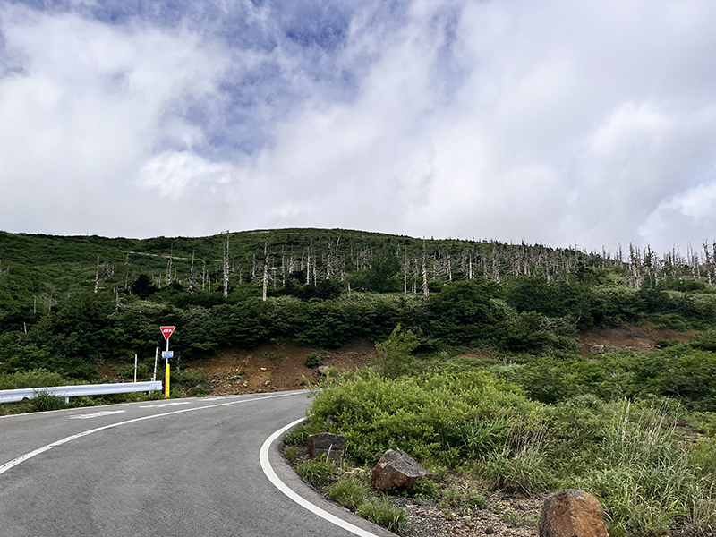 蔵王ハイライン | ジャパン峠プロジェクト | JAPAN TOHGE PROJECT