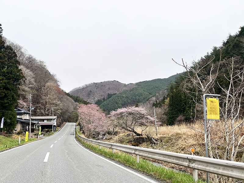 笹ノ田峠 | ジャパン峠プロジェクト | JAPAN TOHGE PROJECT