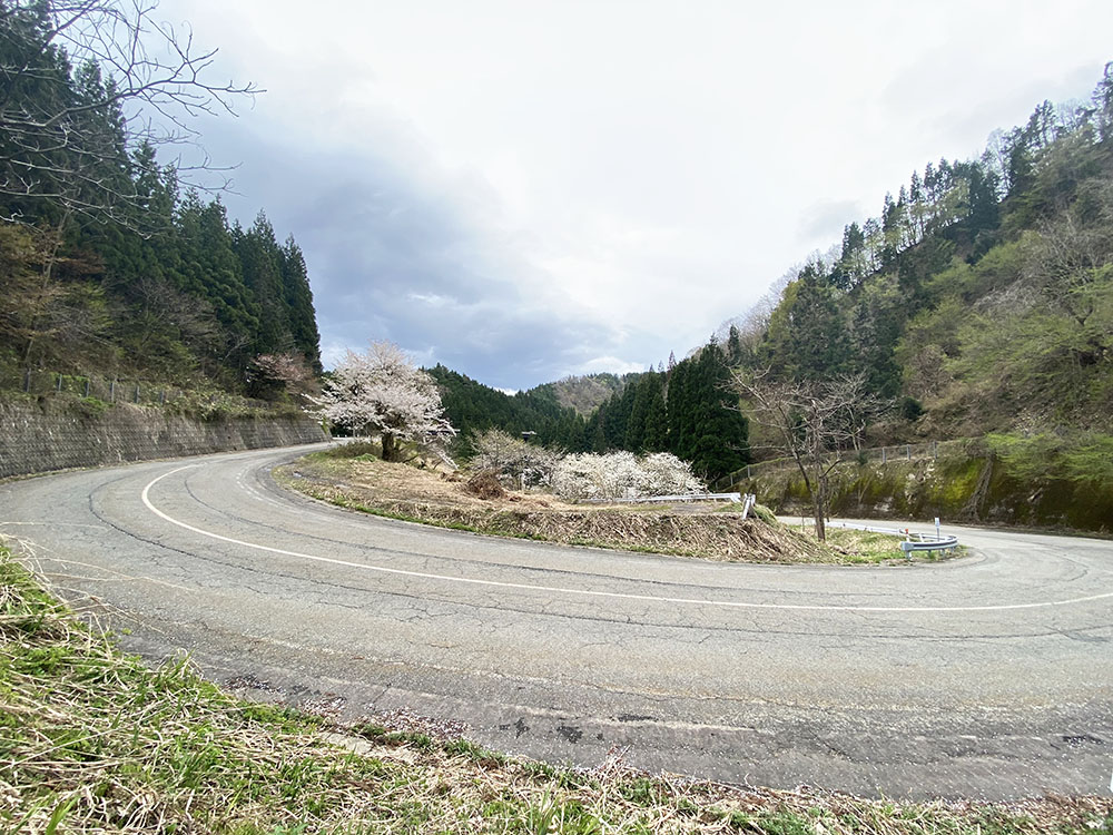 油坂峠 | ジャパン峠プロジェクト | JAPAN TOHGE PROJECT